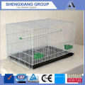 firm and cheap parrot cage for pet poultry